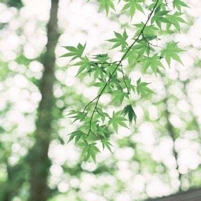 富翁彩票大厅～welcome